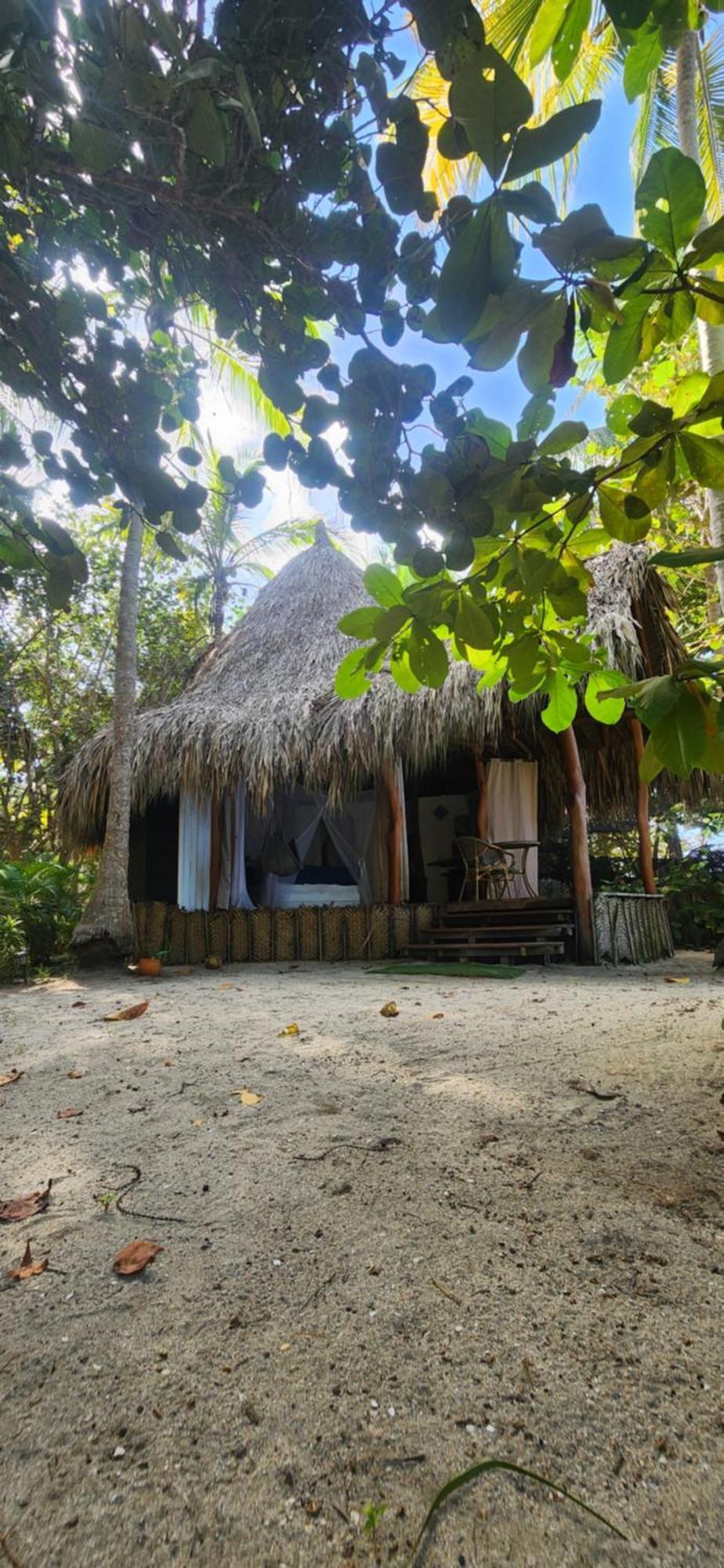 Nueva Onda Bed & Breakfast Palomino Exterior photo
